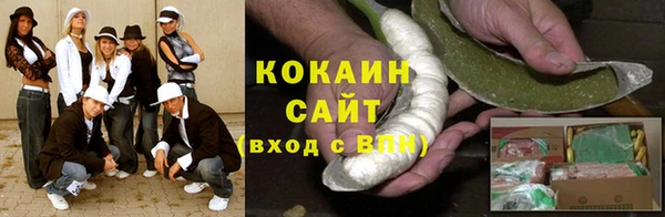 прущие грибы Белокуриха
