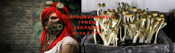 гашишное масло Белоозёрский