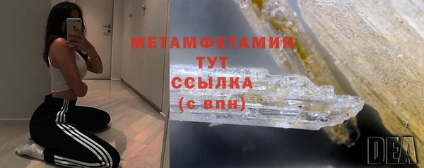 прущие грибы Белокуриха