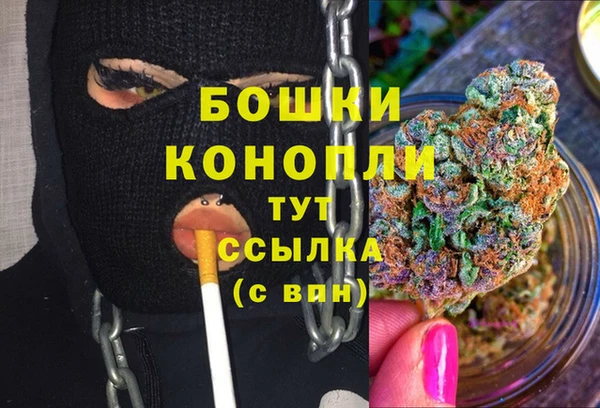 прущие грибы Белокуриха