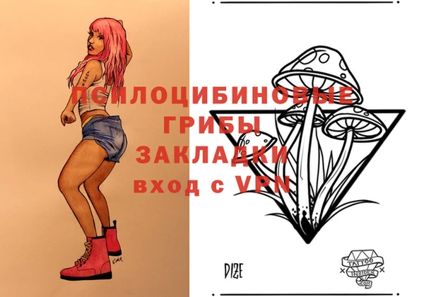 прущие грибы Белокуриха