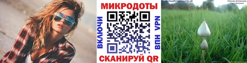 купить закладку  Лыткарино  Псилоцибиновые грибы Psilocybe 