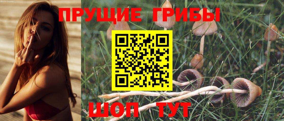 Галлюциногенные грибы MAGIC MUSHROOMS  Псилоцибиновые грибы мухоморы  Вход с VPN  Лыткарино 