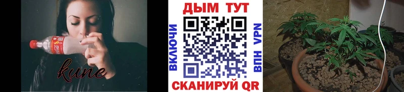 МАРИХУАНА Amnesia  mega ссылки  Лыткарино 